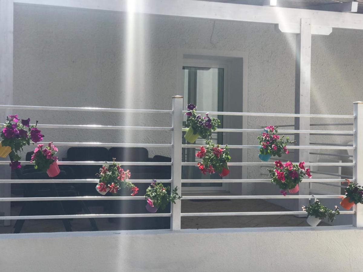 Janas Country House Castelsardo Εξωτερικό φωτογραφία